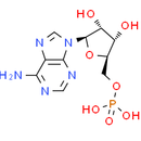 Adenosine monophosphate