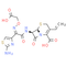 Cefixime
