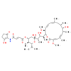 Bafilomycin B1