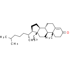 Cholestenone