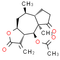 Ergolide