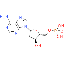2'-Deoxyadenosine-5'-monophosphate