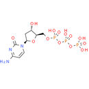Deoxycytidine triphosphate