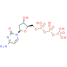 Deoxycytidine triphosphate