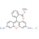 Rhodamine 123