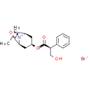 Oxitropium Bromide