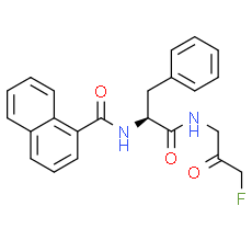 FMK 9a