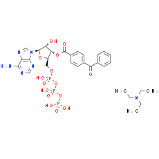 BzATP triethylammonium salt