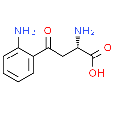 L-Kynurenine