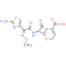Ceftizoxime
