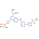 EGFR-IN-2