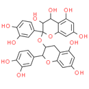Proanthocyanidins