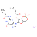 Dibutyryl-cGMP sodium