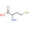 DL-Homocysteine