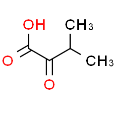 3-Methyl-2-oxobutanoic acid