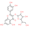 Isoquercitrin
