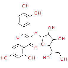 Isoquercitrin