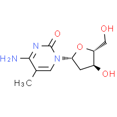 5-Methyl-2'-deoxycytidine