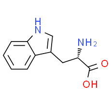 L-Tryptophan