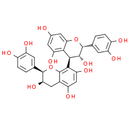 Procyanidin B2