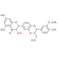 Isosilybin