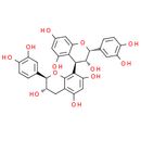 Procyanidin B1