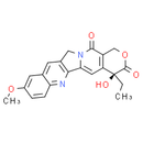 10-Methoxycamptothecin