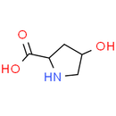 L-Hydroxyproline