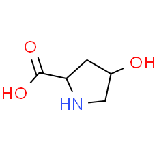 L-Hydroxyproline