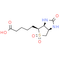 Biotin sulfone