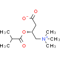 Isobutyryl-L-carnitine
