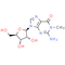 1-Methylguanosine