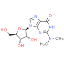 N2, N2-Dimethylguanosine