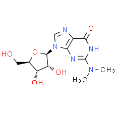 N2, N2-Dimethylguanosine