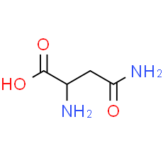 L-Asparagine