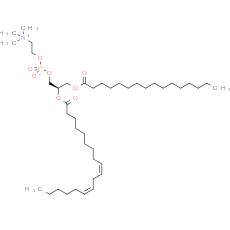 Lecithin