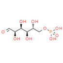 D-Glucose 6-phosphate