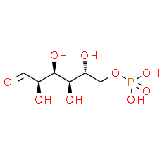 D-Glucose 6-phosphate