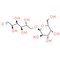 D-Melibiose