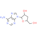 Cordycepin