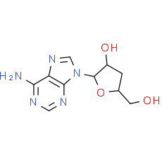 Cordycepin