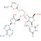 Inarigivir soproxil