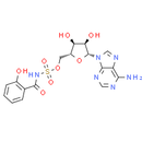 Salicyl-AMS