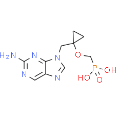 Besifovir