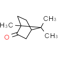 Camphor