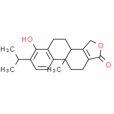 Triptophenolide – Xcess Biosciences