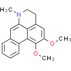 Dehydronuciferine