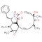 Cytochalasin E