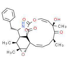Cytochalasin E