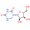 5, 6-Dihydrouridine